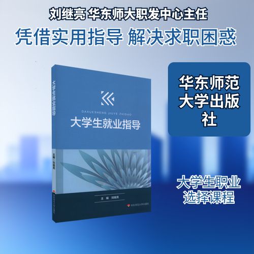 大学生就业指导 从校园到职场的实用指南